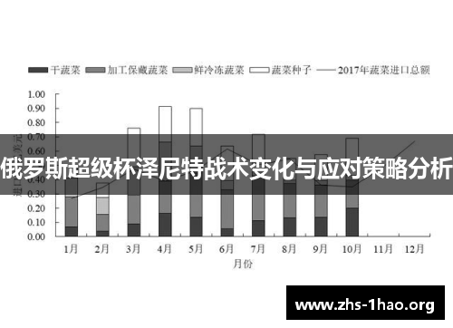 俄罗斯超级杯泽尼特战术变化与应对策略分析