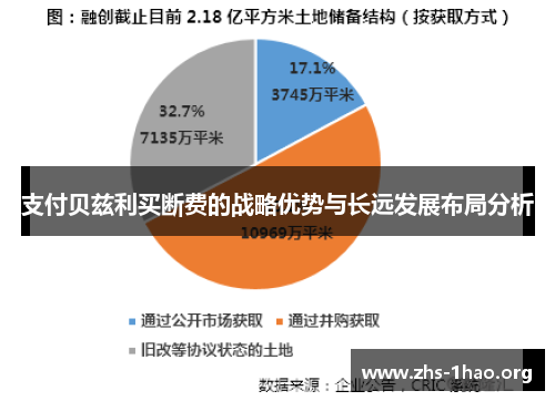 支付贝兹利买断费的战略优势与长远发展布局分析