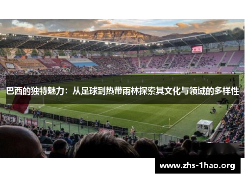 巴西的独特魅力：从足球到热带雨林探索其文化与领域的多样性