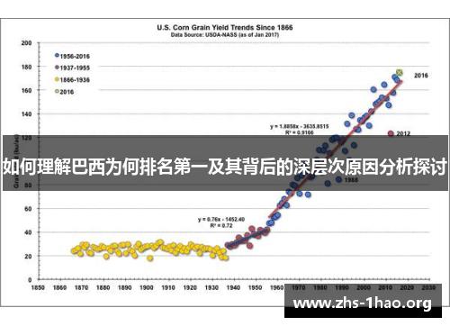 如何理解巴西为何排名第一及其背后的深层次原因分析探讨