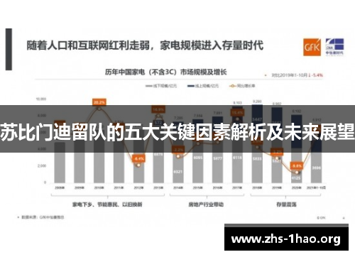 苏比门迪留队的五大关键因素解析及未来展望 苏比门迪留队的五大关键因素解析及未来展望