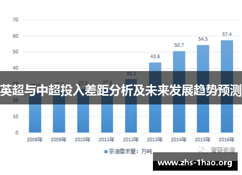 英超与中超投入差距分析及未来发展趋势预测