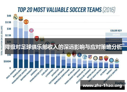 降级对足球俱乐部收入的深远影响与应对策略分析 降级对足球俱乐部收入的深远影响与应对策略分析